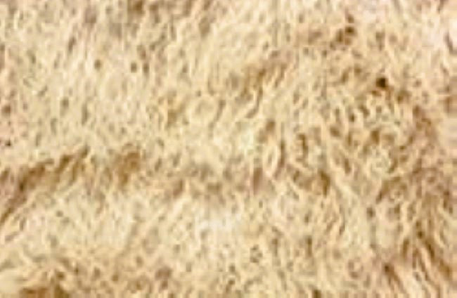 Cosmo Fur Lounge Chair